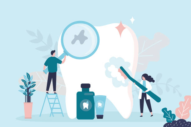 Professional  Holistic Dental Services in Paradise, CA